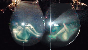 Llegaste con la Brisa 3.0