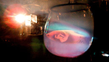 Llegaste con la Brisa 3.0